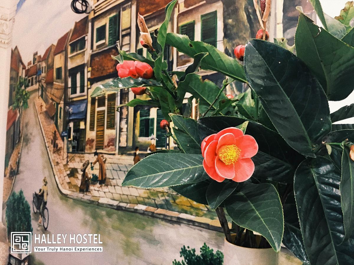 Halley Hostel Hanoi Exteriör bild